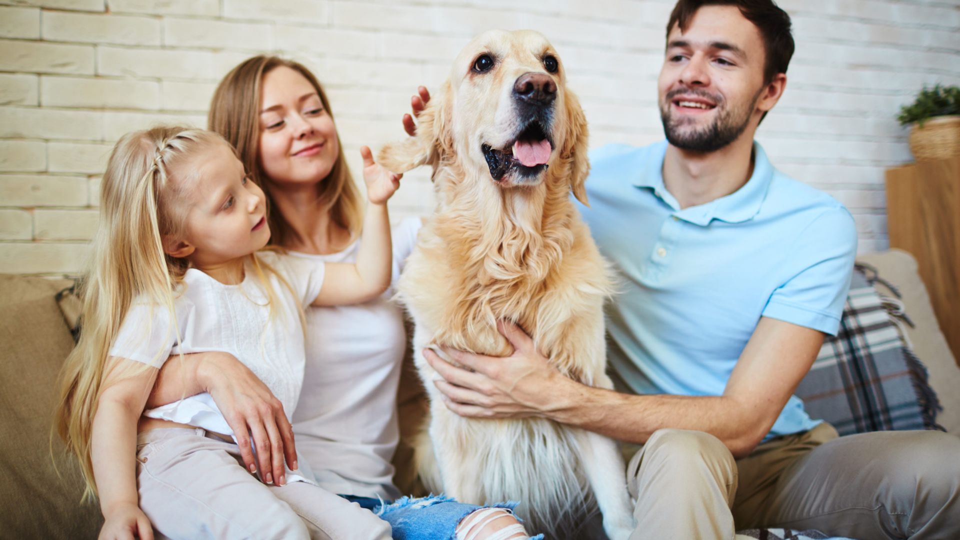 Pet Insurance Caring for Your Furry Friends