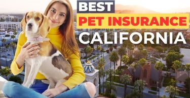 Pet Insurance in California